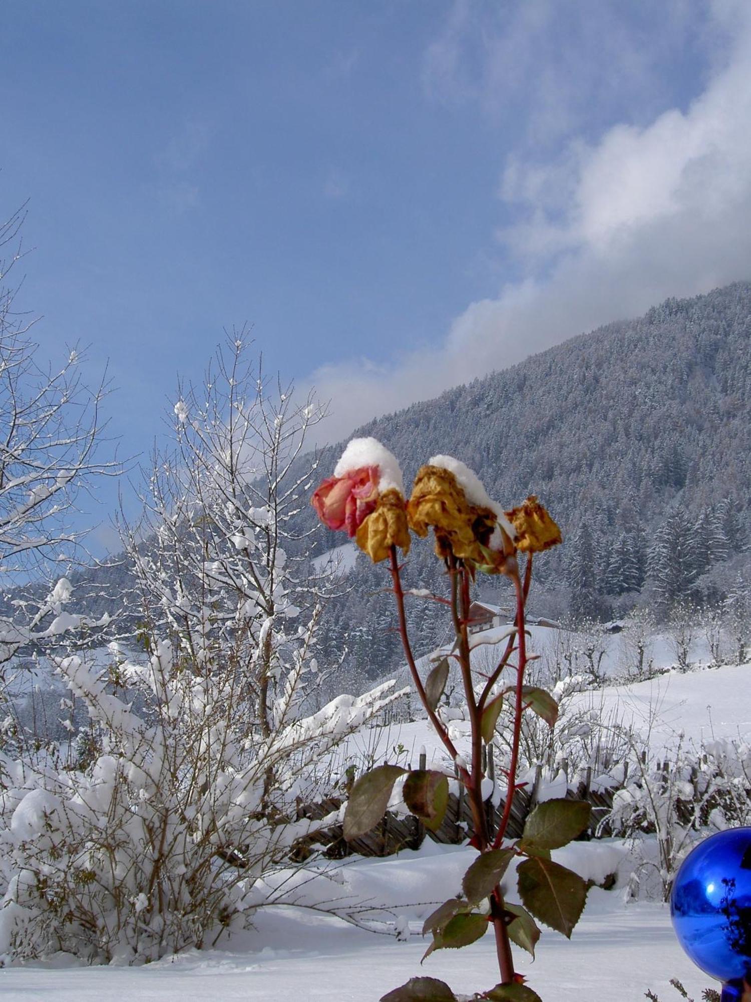 Haus Tirol Hotel Molini di Tures Kültér fotó